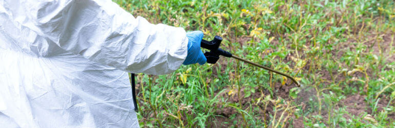 dicamba